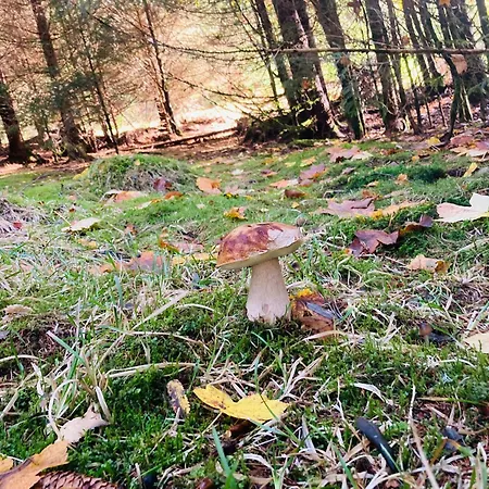 Apartamento Le Perchoir, 7 Personnes, Le Grand Valtin