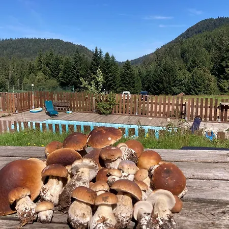 Le Perchoir, 7 Personnes, Le Grand Valtin Ban-sur-Meurthe-Clefcy