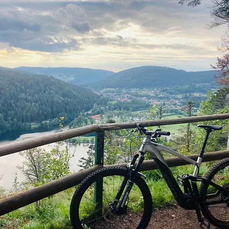 Le Perchoir, 7 Personnes, Le Grand Valtin Apartment