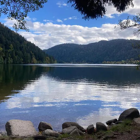 Le Perchoir, 7 Personnes, Le Grand Valtin * Ban-sur-Meurthe-Clefcy