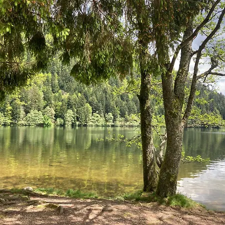 Le Perchoir, 7 Personnes, Le Grand Valtin Ban-sur-Meurthe-Clefcy