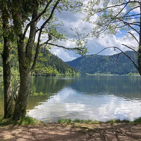 Le Perchoir, 7 Personnes, Le Grand Valtin Ban-sur-Meurthe-Clefcy