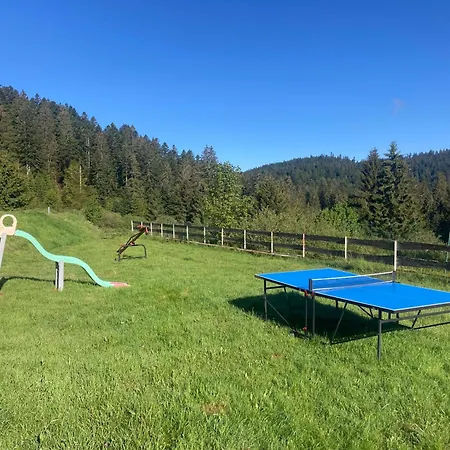 Le Perchoir, 7 Personnes, Le Grand Valtin Ban-sur-Meurthe-Clefcy