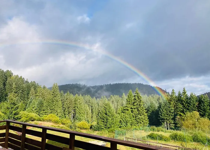 Le Perchoir, 7 Personnes, Le Grand Valtin Ban-sur-Meurthe-Clefcy