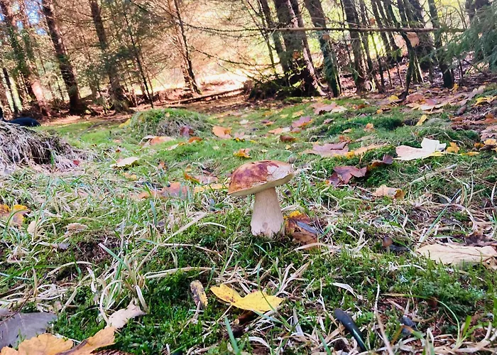 Apartmán Le Perchoir, 7 Personnes, Le Grand Valtin