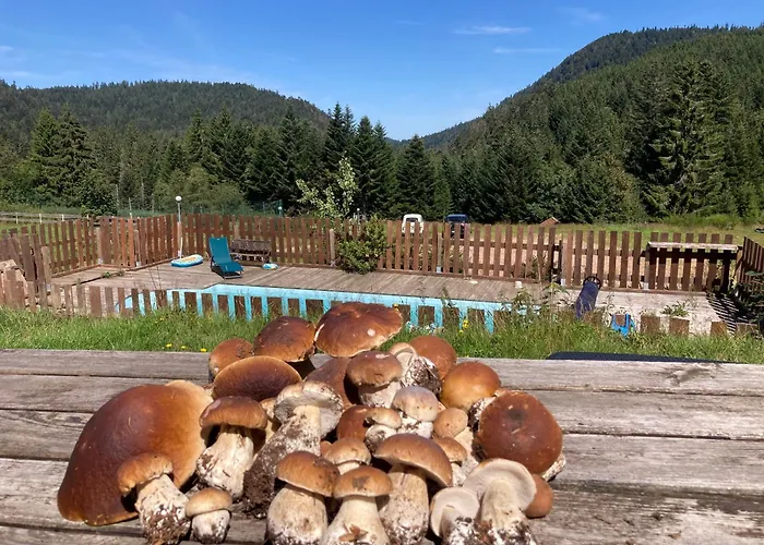 Le Perchoir, 7 Personnes, Le Grand Valtin Ban-sur-Meurthe-Clefcy