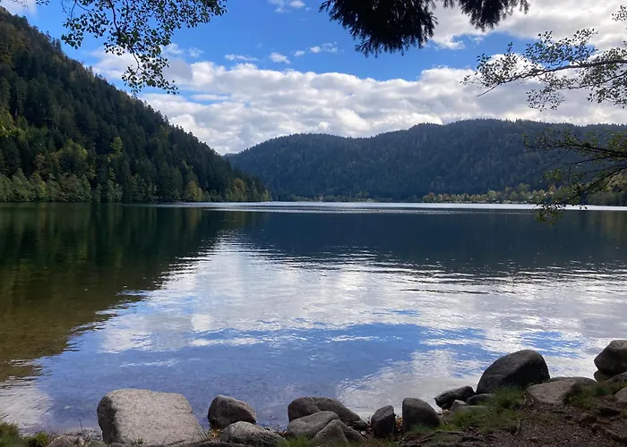 Le Perchoir, 7 Personnes, Le Grand Valtin * Ban-sur-Meurthe-Clefcy