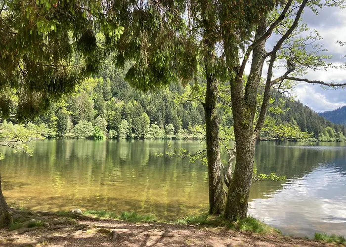 Le Perchoir, 7 Personnes, Le Grand Valtin Ban-sur-Meurthe-Clefcy