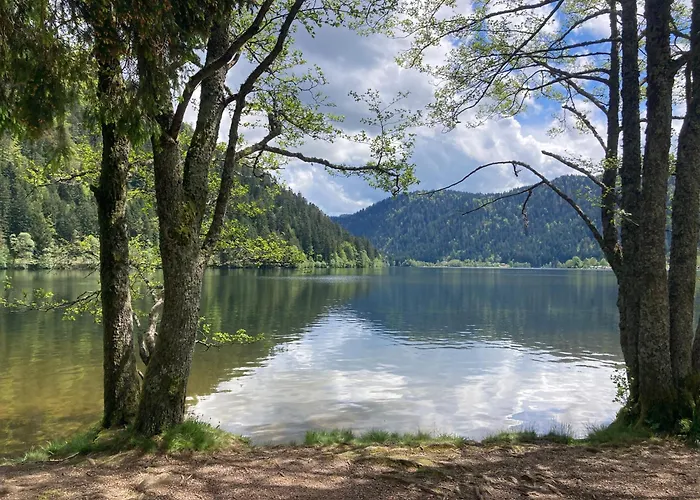 Le Perchoir, 7 Personnes, Le Grand Valtin Ban-sur-Meurthe-Clefcy