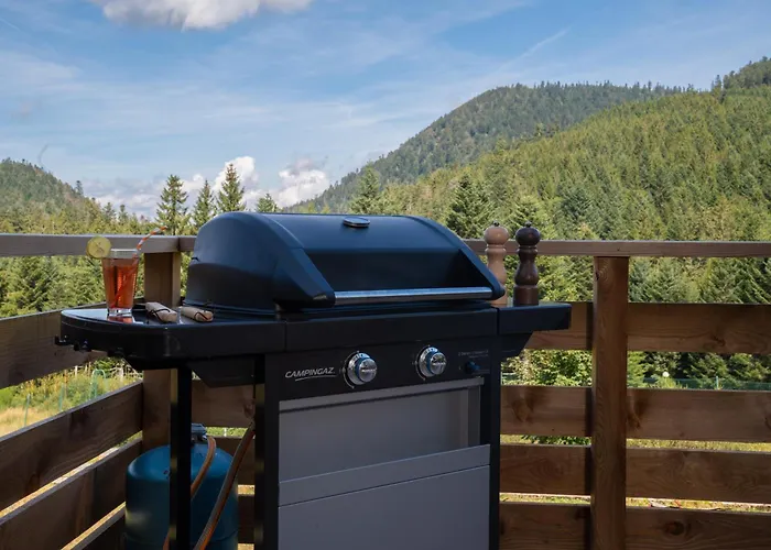 Apartment Le Perchoir, 7 Personnes, Le Grand Valtin